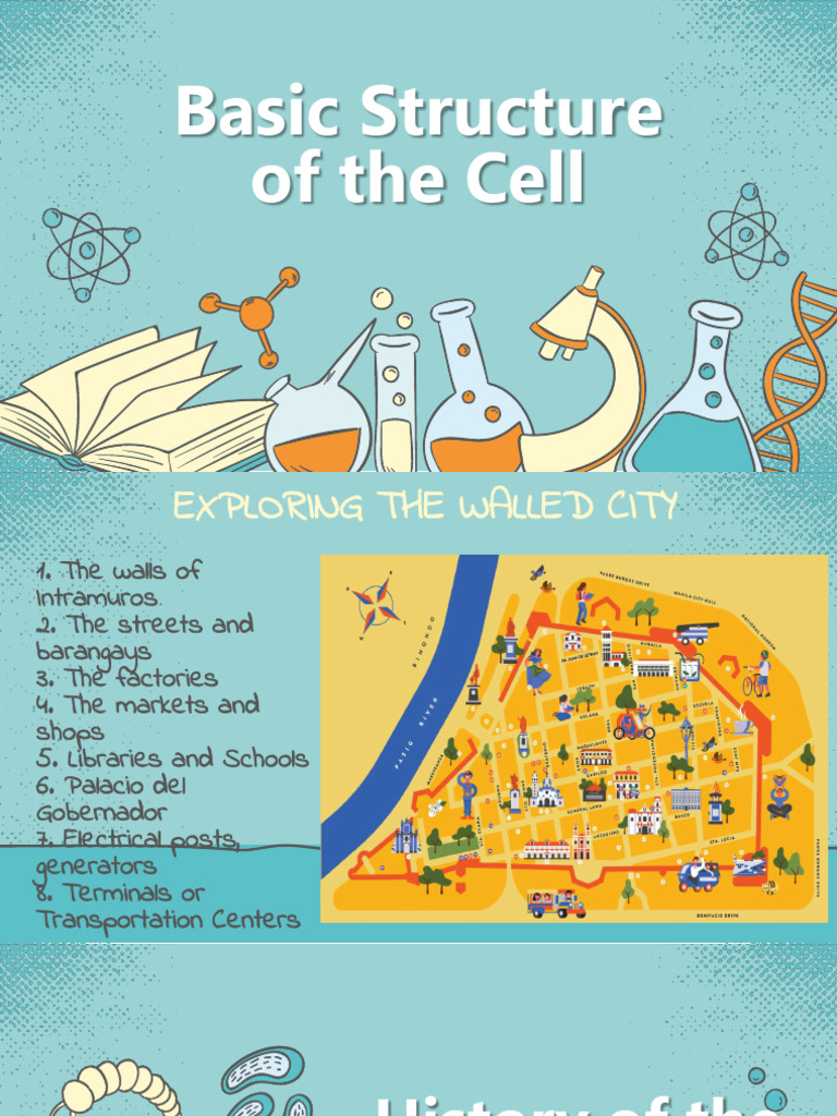 Lesson 2 Cell Structure and Cell Modifications2 | PDF | Endoplasmic ...