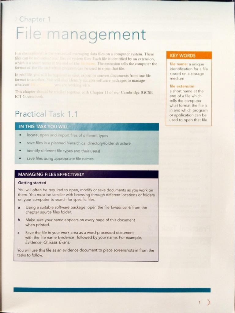 1 - File Management | PDF