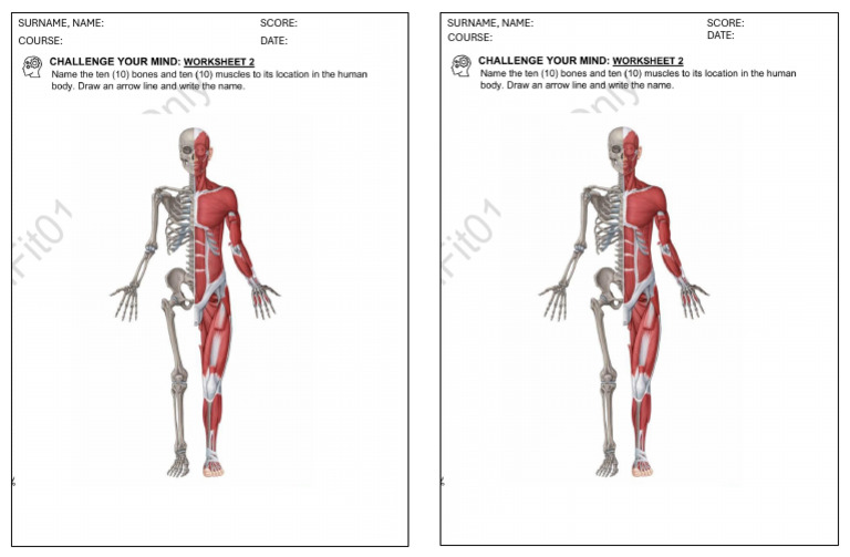 Quiz 2 | PDF