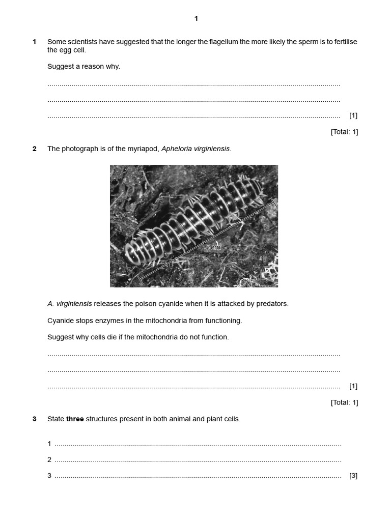 Biology Exam Questions on Cell Structure | PDF | Root | Plants