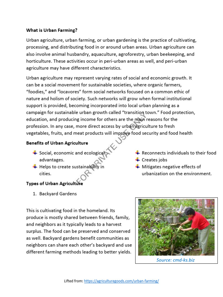 Understanding Urban Farming Benefits | PDF | Urban Agriculture ...