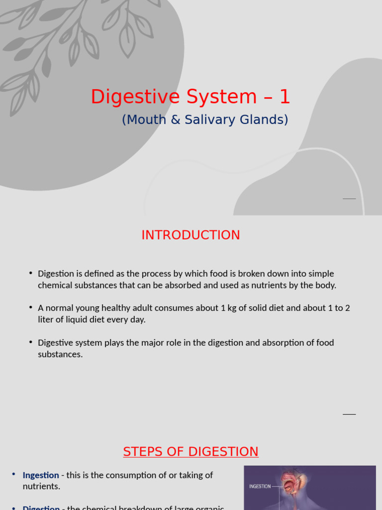 Digestive System Part 1 | PDF | Human Digestive System ...