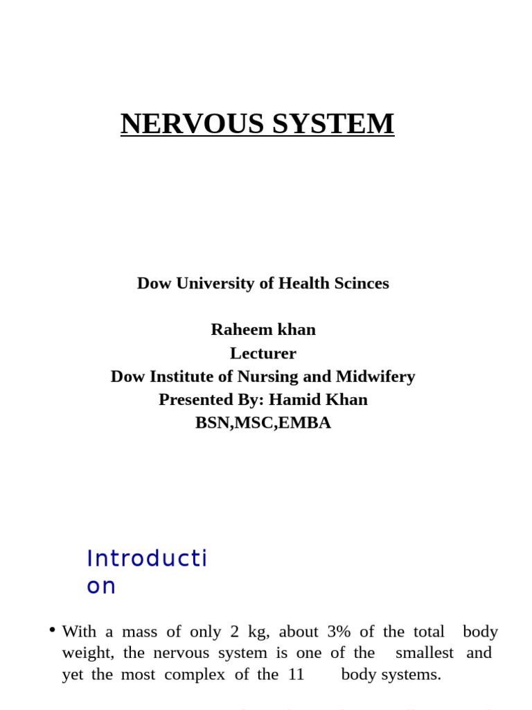 Overview of the Nervous System | PDF | Cerebrum | Spinal Cord