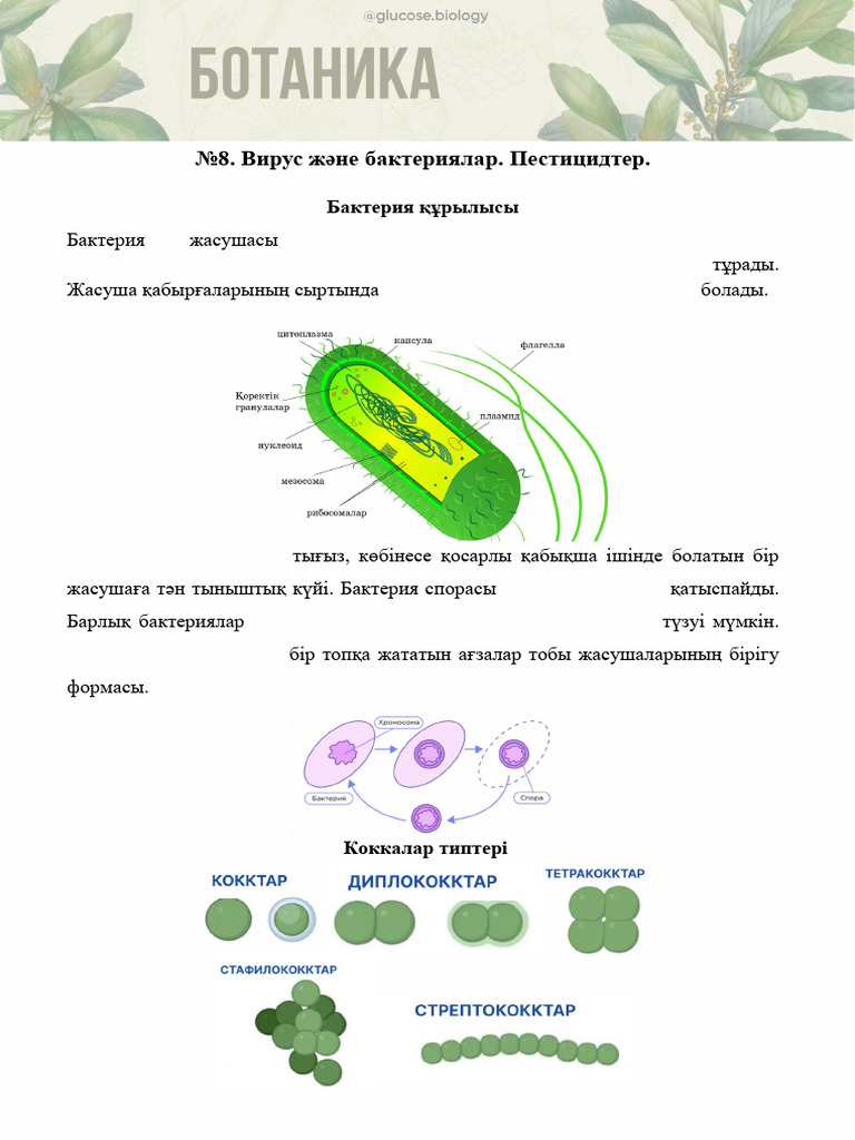 Сілтемесіз жастар порно