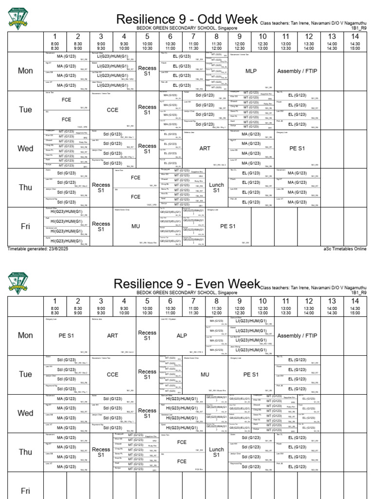Bedok Green Sec School Timetable | PDF