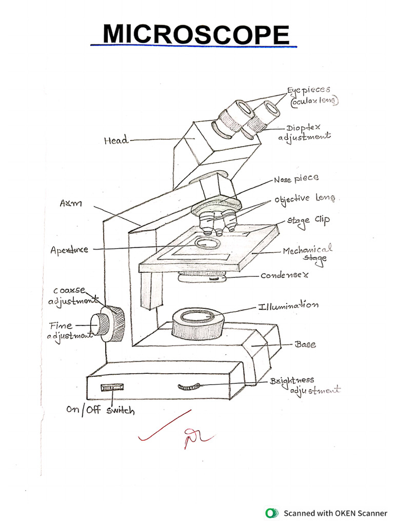 PATHOLOGY PRACTICAL 2ND YEAR visual data 3