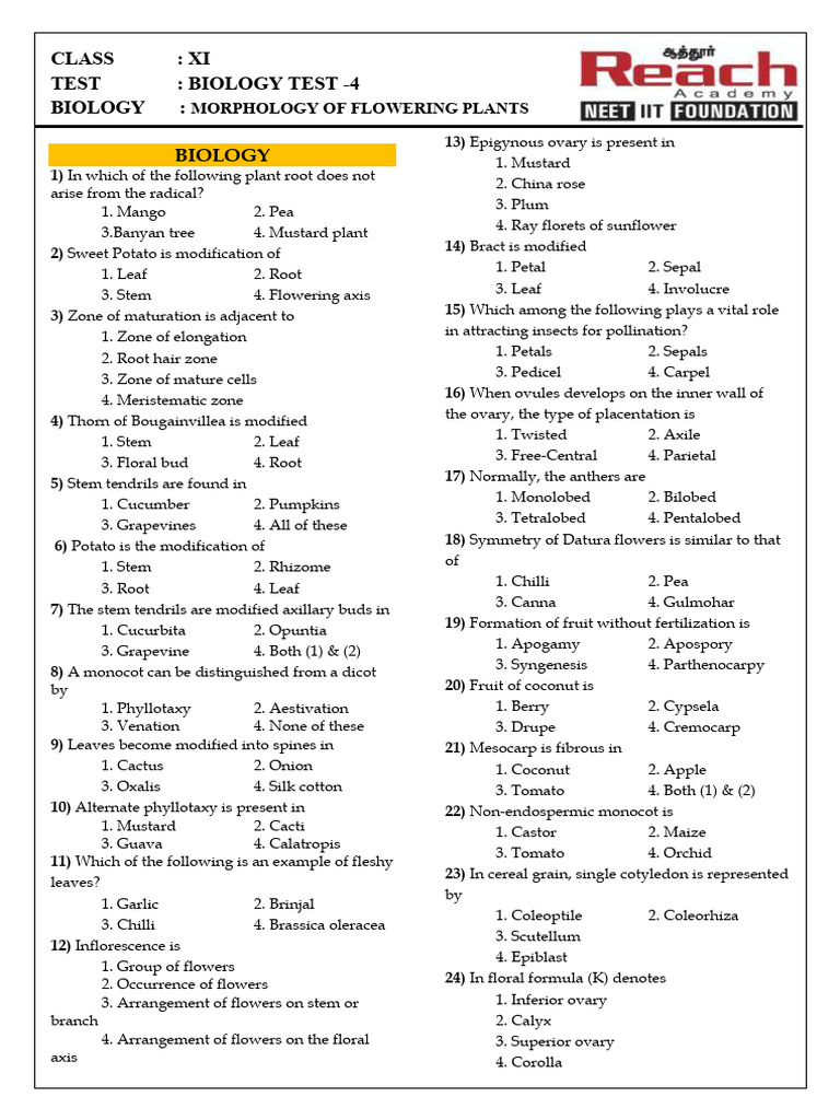 Flowering Plants Morphology Test Key | PDF | Seed | Leaf