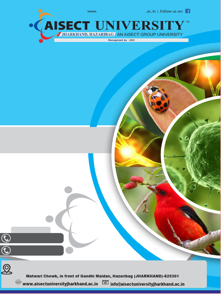 Sem V (Paper 1) EnvironmentaL Biology | PDF | Ecosystem | Food Web