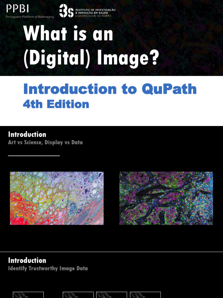 Understanding Digital Images and Pixels | PDF | Pixel | Image Resolution