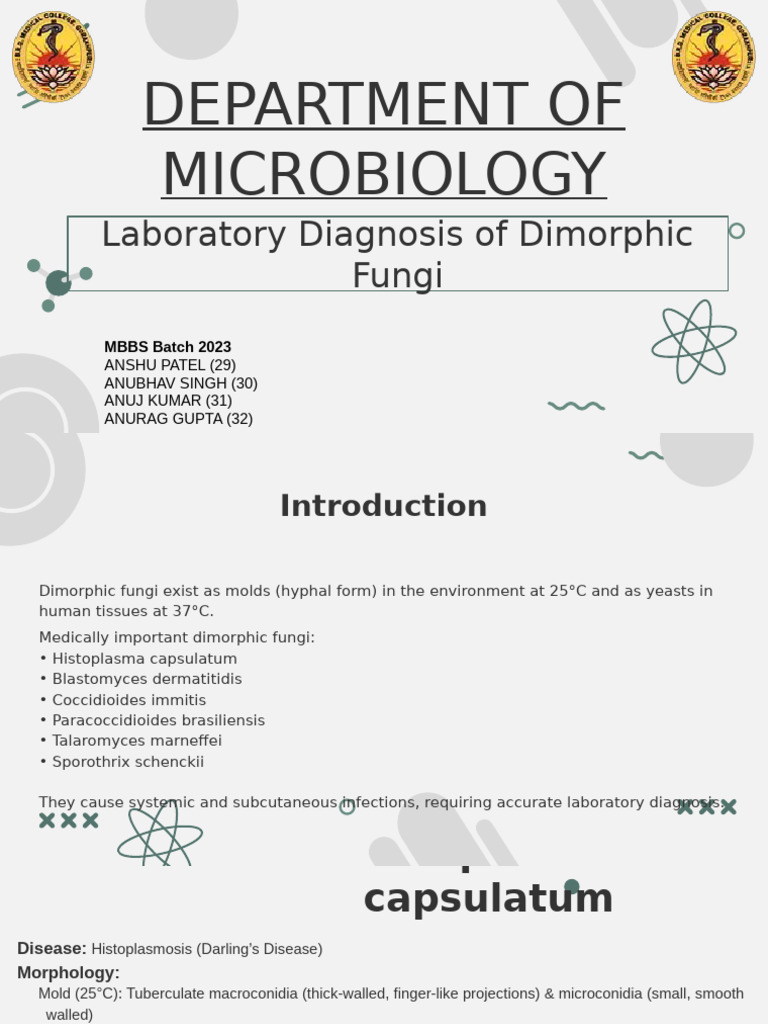 Materials and apparatus used in the isolation. a. Micropipette and... | Download Scientific Diagram