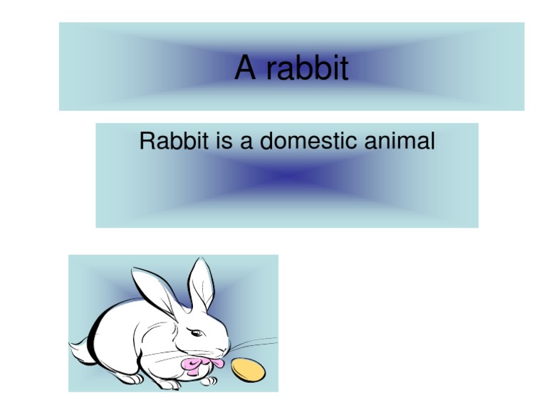A Rabbit | PDF