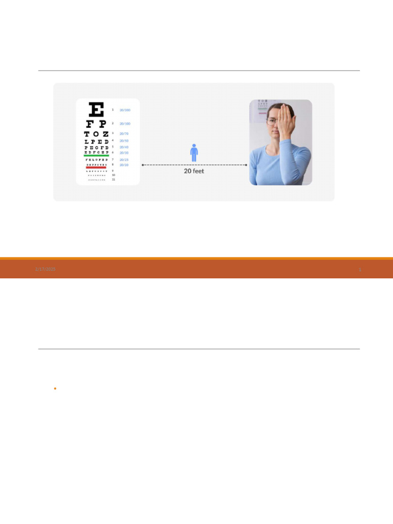 Understanding Visual Acuity Testing | PDF