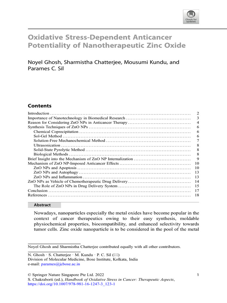 Zinc Oxide Nanoparticles in Cancer Therapy | PDF | Zinc Oxide ...