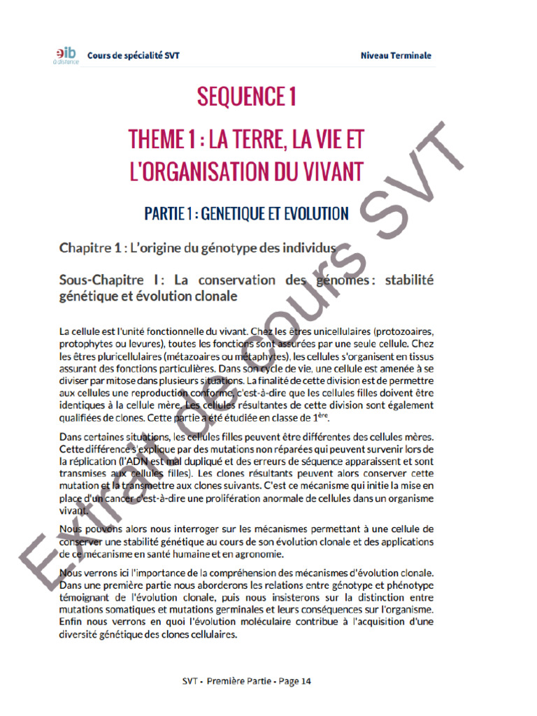 r-sum-svt-pdf