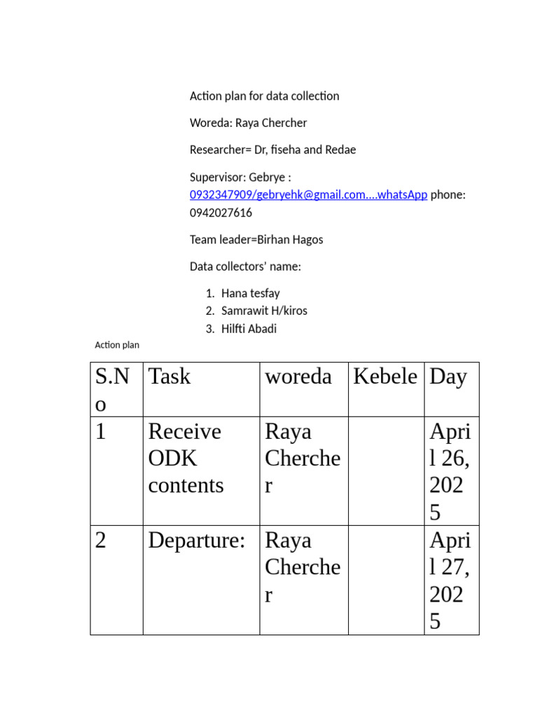 Data Collection Action Plan for Raya Chercher | PDF
