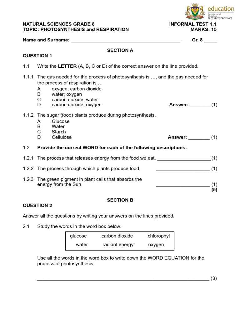 Grade 8 Natural Sciences Exam Paper 2025 | PDF | Photosynthesis ...
