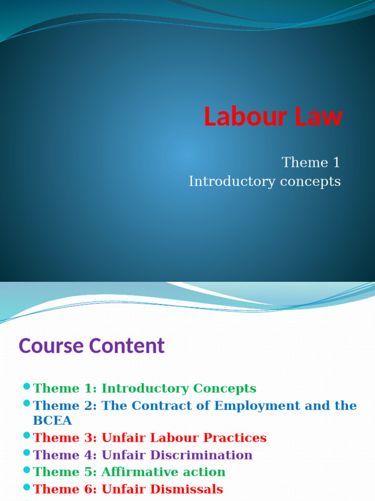 Labour Law Theme 1 2025 | PDF | Labour Law | Discrimination