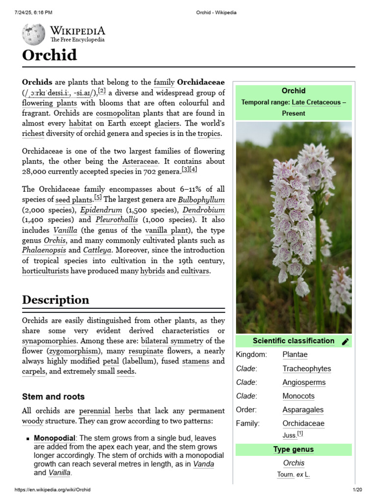 Orchidaceae: Diversity and Classification | PDF | Leaf | Pollination