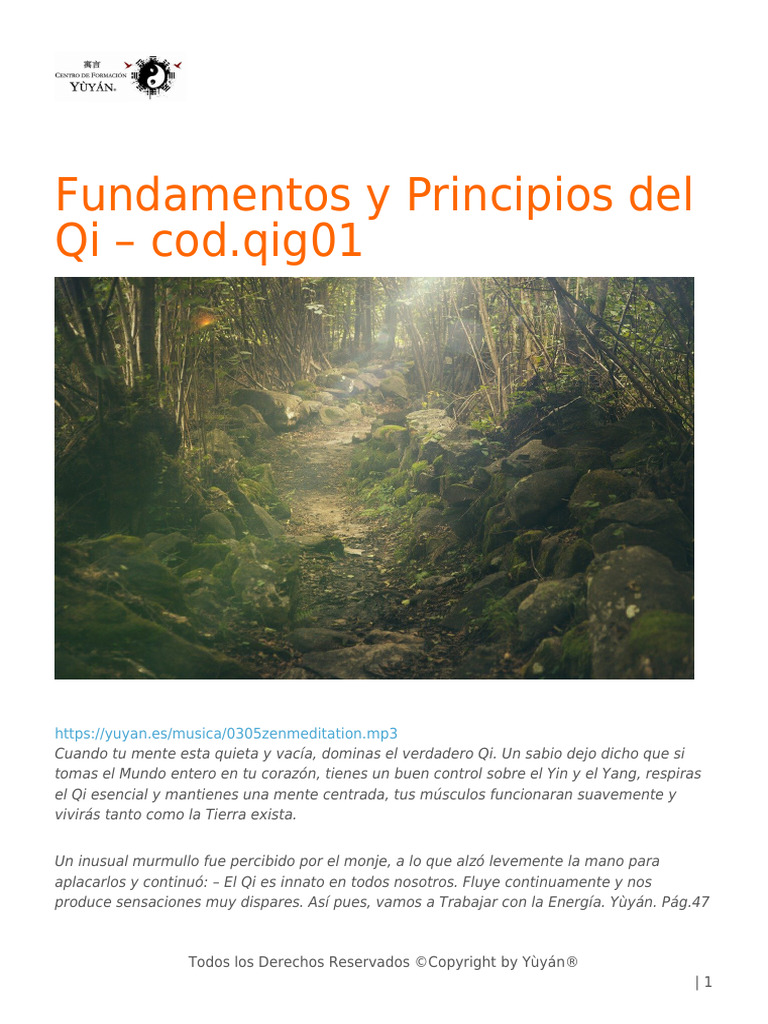 Fundamentos del Qi y su Energía Vital | PDF | Qi | Yin y yang