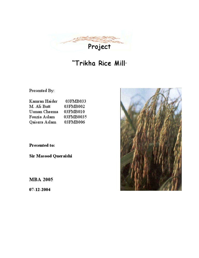 Trikha Rice Mill Project Overview | PDF