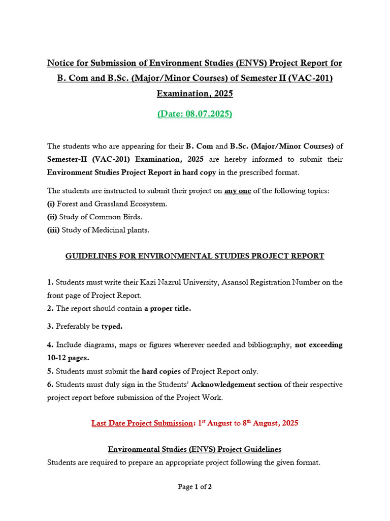 ENVS Project Submission Guidelines 2025 | PDF