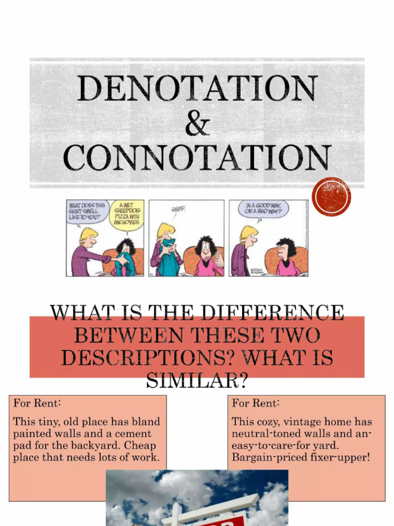 Connotations and Denotations | PDF