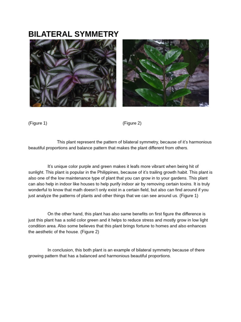 Exploring Patterns in Nature: Symmetry and Design | PDF | Plants | Flowers