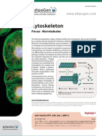 Cytoskeleton 2012