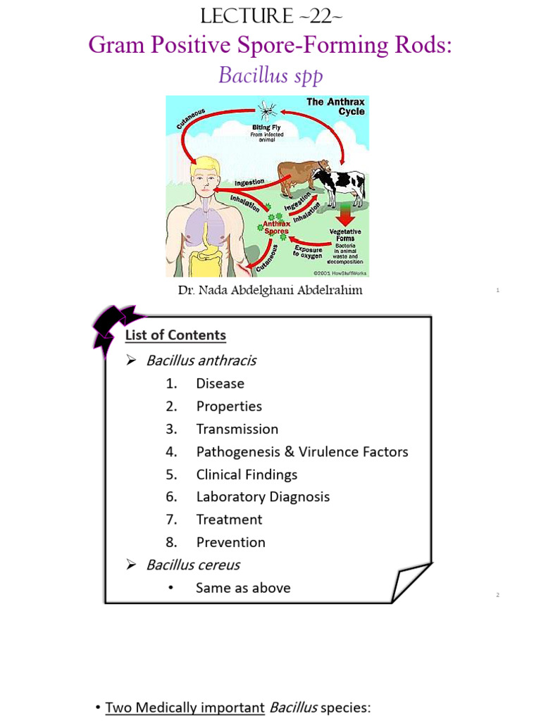 L22 Clinical Bacteriology (Gram Positive Spore Forming Rods-Bacillus ...