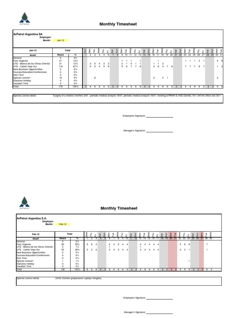 ArPetrol Argentina Monthly Timesheets | PDF | Sports | Leisure