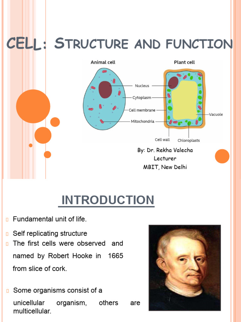 Cell Structure and Function Overview | PDF | Cell Nucleus | Cytoplasm