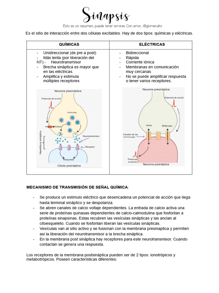 Tipos y Funciones de Neurotransmisores | PDF | Sinapsis | Sinapsis química