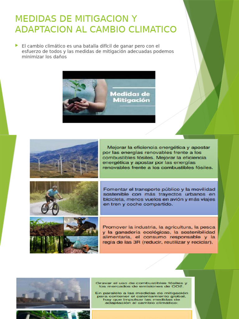 Medidas de Mitigacion y Adaptacion Al Cambio Climatico s12 | PDF