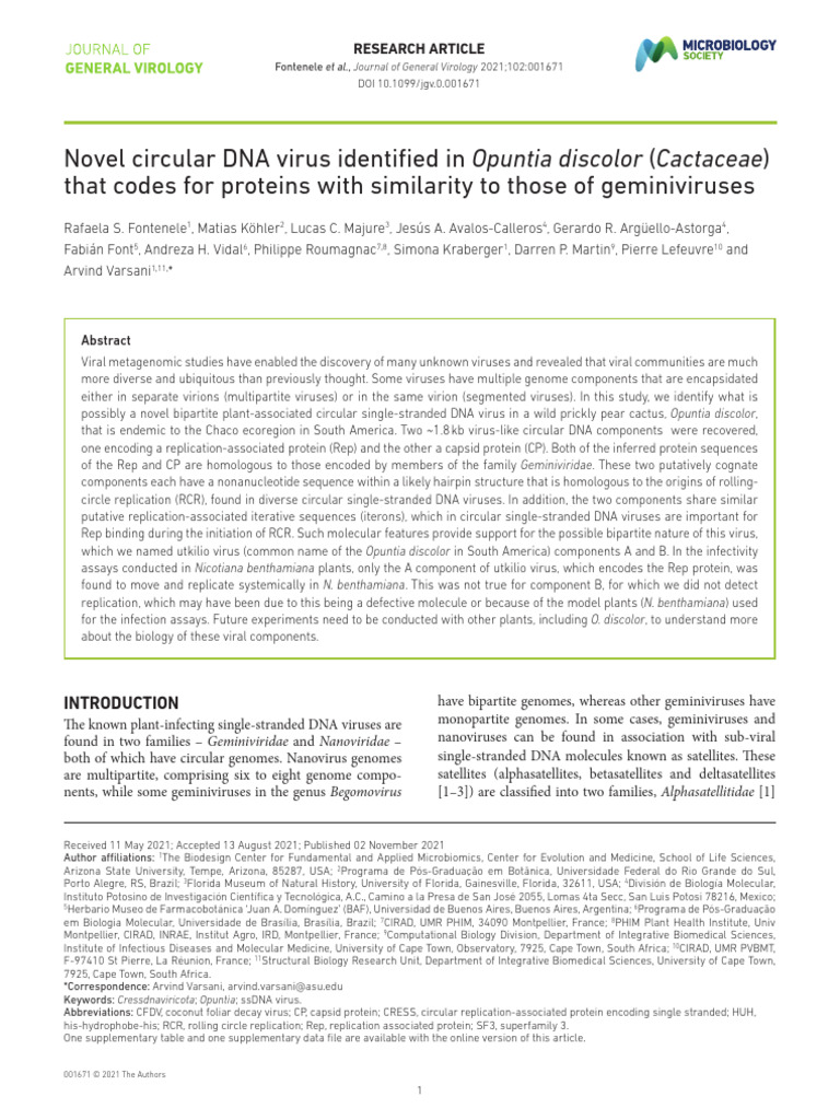 Novel Circular DNA Virus in Cactus | PDF | Virus | Dna