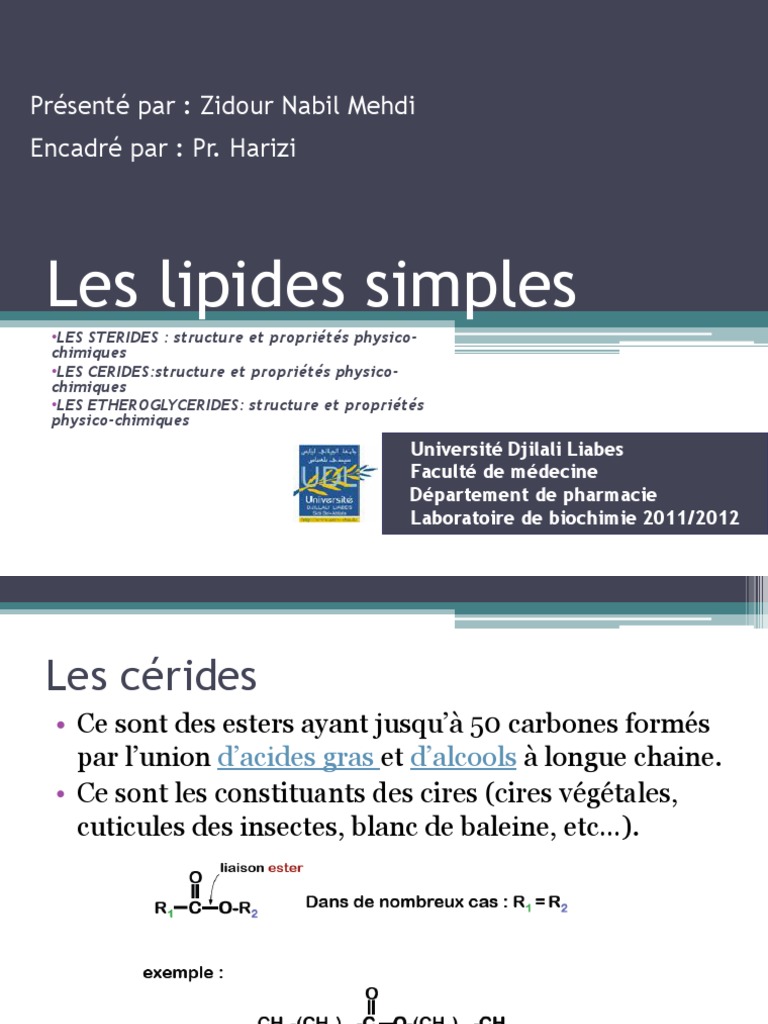 Les Lipides Simples Ceride Steride ..... | PDF | Lipide | Cholestérol