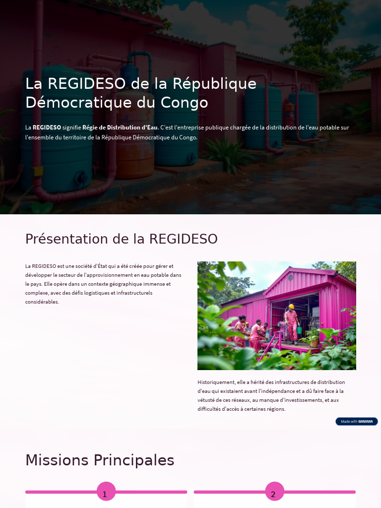 La REGIDESO : Distribution d'eau en RDC | PDF | Boire de l'eau | Eau