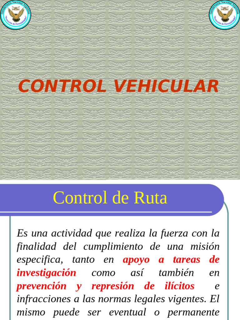 Control Vehicular: Procedimientos y Seguridad | PDF | Mano