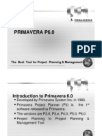 Primavera P6.0: The Best Tool For Project Planning & Management