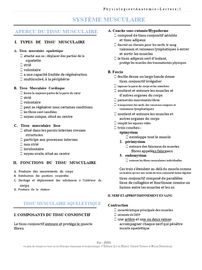 Anatomie et Physiologie du Système Musculaire | PDF | Muscle ...