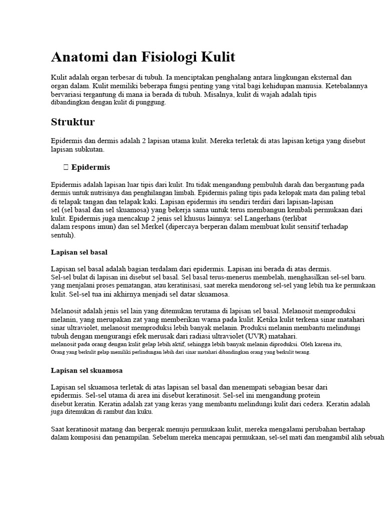 Anatomi Dan Fisiologi Kulit Pdf