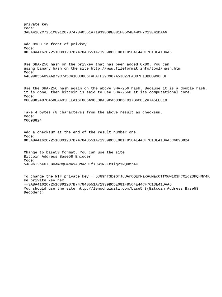Short Guide To Convert Public Key To Hex Key Format or WIF | PDF