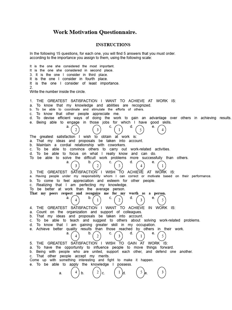 Work Motivation Questionnaire Guide | PDF | Motivation | Motivational