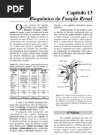 Cap 13 - Bioquímica da Função Renal