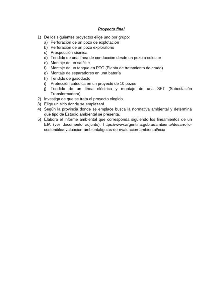Proyecto Final | PDF