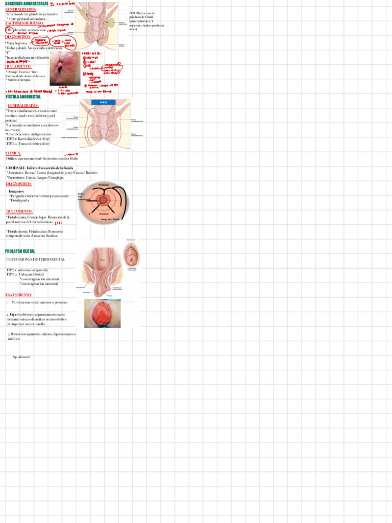 Patología Anorrectal | PDF