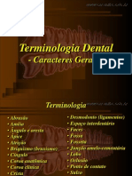 Terminologia Dental