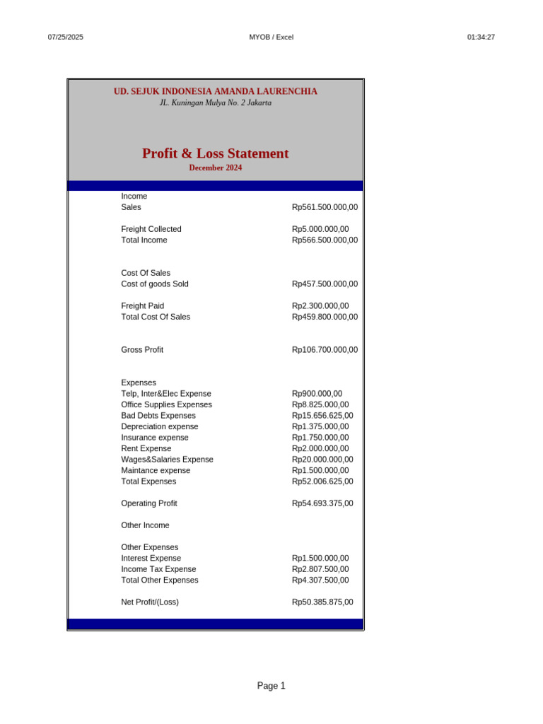 Profit & Loss Statement 2024 | PDF