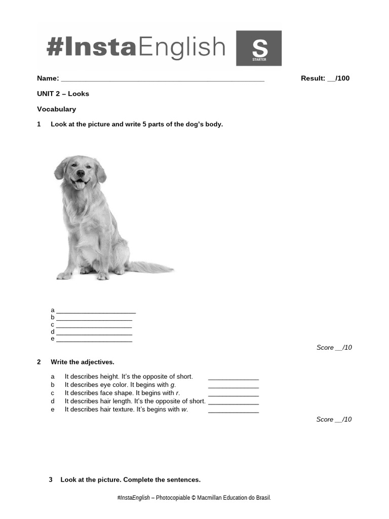 Negative Forms in Descriptive Writing | PDF