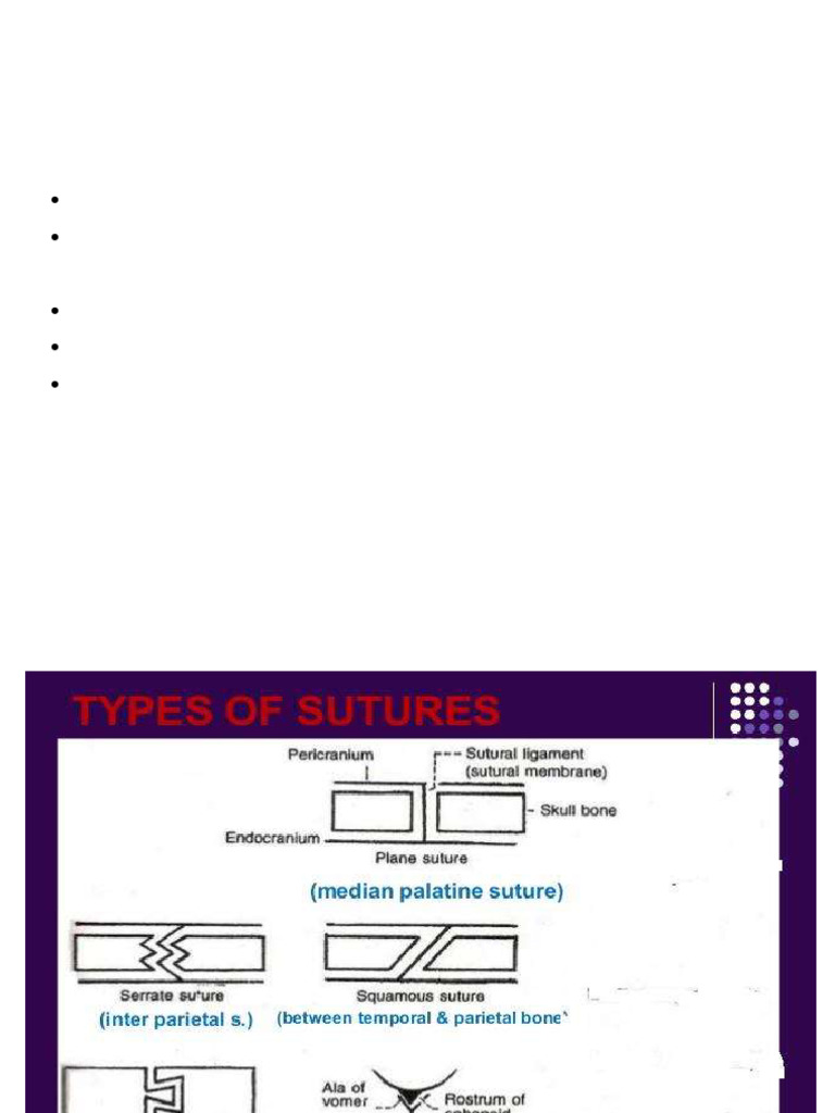 Structural Classification of Joints | PDF | Anatomical Terms Of Motion ...