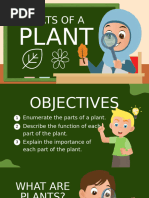 Parts of a Plant for Grade 3 | PDF | Flowers | Petal